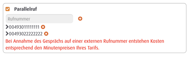 Parallelruf-Einstellungen im Easybell Kundenportal mit zwei externen Rufnummern